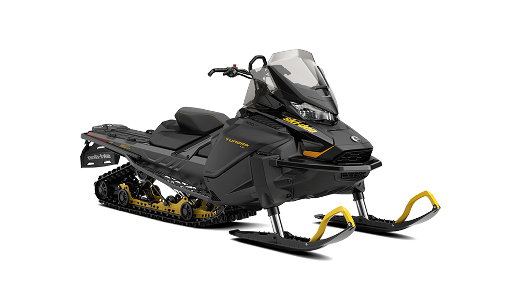 2026 Tundra LE 600 ACE - 1