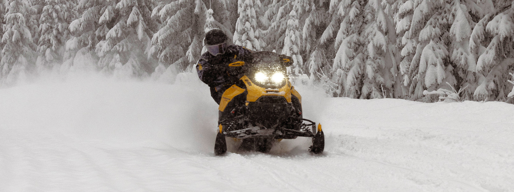 Renegade Sport 600