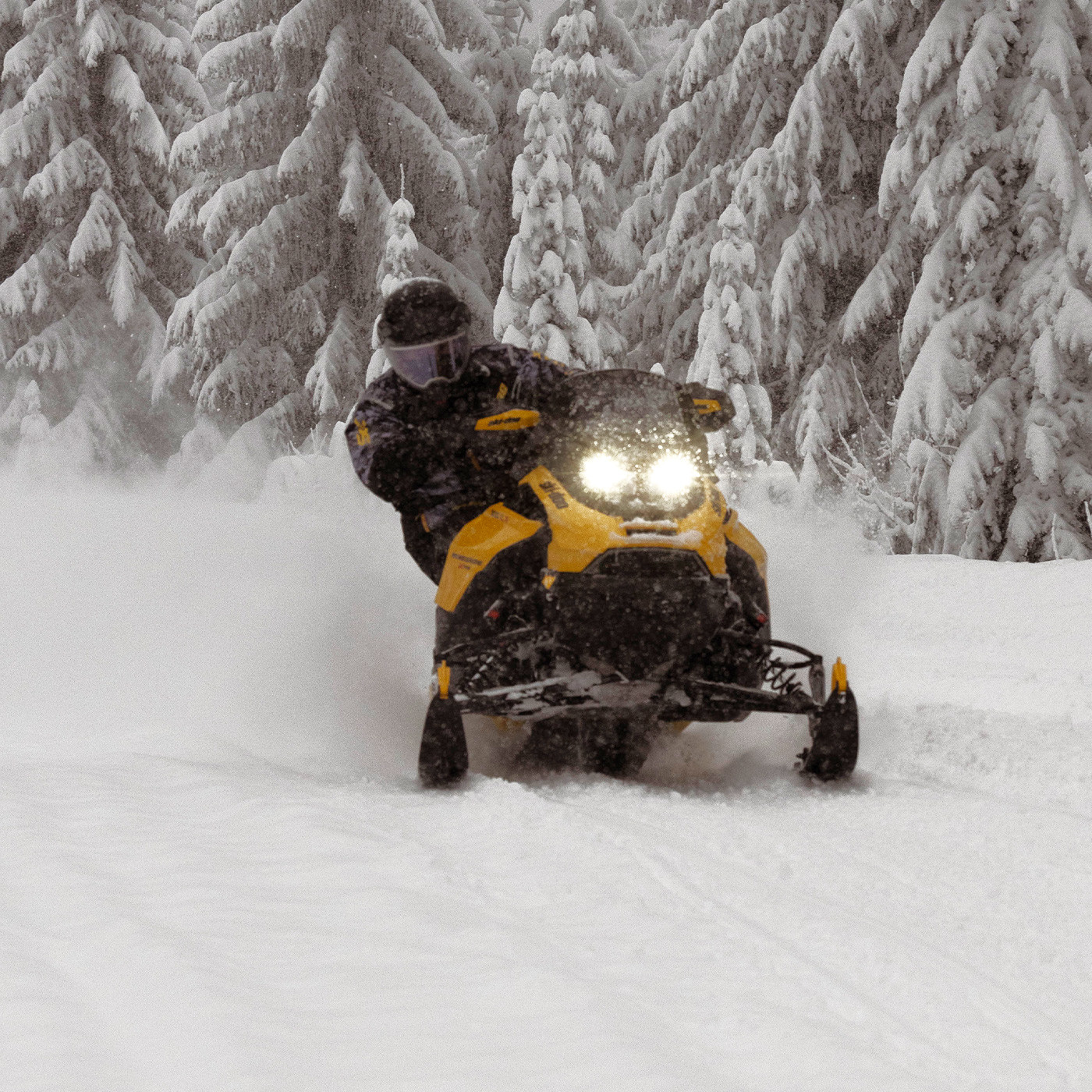 Renegade Sport 600