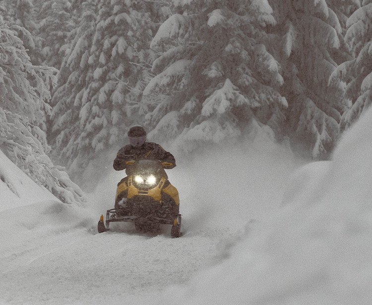 Renegade Sport 600